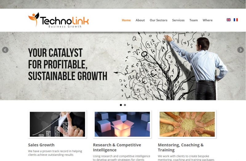 Close up screenshot of landing page of the Technolink web design.